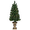 Northlight 5-Piece Pre-Lit Norwich Pine Artificial Christmas Entryway Set Image 1