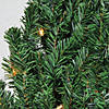 Northlight 5' Pre-Lit Commercial Canadian Pine Artificial Christmas Wreath  Clear Lights Image 1