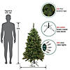 Northlight 5' Pre-Lit Green Medium Canyon Pine Artificial Christmas Tree  Clear Lights Image 1