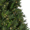 Northlight 5' Pre-Lit Green Medium Canyon Pine Artificial Christmas Tree  Clear Lights Image 3