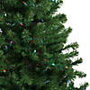 Northlight 5' Pre-Lit LED Medium Canadian Pine Artificial Christmas Tree - Multicolored Lights Image 2