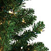 Northlight 5' Pre-Lit Medium Canadian Pine Artificial Christmas Tree  Clear Lights Image 1