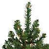 Northlight 5' Pre-Lit Medium Canadian Pine Artificial Christmas Tree  Clear Lights Image 2