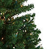 Northlight 5' Pre-Lit Medium Canadian Pine Artificial Christmas Tree  Clear Lights Image 3