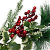 Northlight 5' x 5" Holly and Pine Springs Artificial Christmas Garland - Unlit Image 2