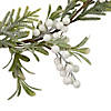 Northlight 5' x 7" Artificial Christmas Garland with Frosted Foliage and Berries  Unlit Image 2