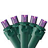 Northlight 50 Purple LED Wide Angle Christmas Lights - 16.25 ft Green Wire Image 1