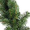 Northlight 50' x 10" Pre-Lit Buffalo Fir Commercial Artificial Christmas Garland - Warm White Lights Image 1