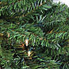 Northlight 52" Pre-Lit Canadian Pine Artificial Christmas Teardrop Swag - Clear Lights Image 1