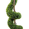 Northlight 56" Potted Two-Tone Artificial Boxwood Spiral Topiary Tree Image 2