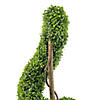 Northlight 56" Potted Two-Tone Artificial Boxwood Spiral Topiary Tree Image 3