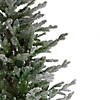 Northlight 6.5' Flocked Little River Fir Artificial Christmas Tree - Unlit Image 3