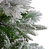 Northlight 6.5' Flocked Rosemary Emerald Angel Pine Artificial Christmas Tree - Unlit Image 1