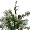 Northlight 6.5' Flocked Rosemary Emerald Angel Pine Artificial Christmas Tree - Unlit Image 3