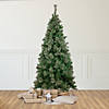 Northlight 6.5' Medium Oregon Cashmere Pine Artificial Christmas Tree  Unlit Image 1