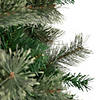Northlight 6.5' Medium Oregon Cashmere Pine Artificial Christmas Tree  Unlit Image 2