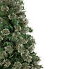 Northlight 6.5' Medium Oregon Cashmere Pine Artificial Christmas Tree  Unlit Image 3