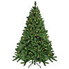 Northlight 6.5' Pre-Lit Chatham Pine Artificial Christmas Tree  Clear Lights Image 1