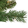 Northlight 6.5' Pre-Lit Chatham Pine Artificial Christmas Tree  Clear Lights Image 1