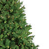 Northlight 6.5' Pre-Lit Chatham Pine Artificial Christmas Tree  Clear Lights Image 2