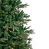 Northlight 6.5' Pre-Lit Hudson Fir Artificial Christmas Tree  Warm White LED Lights Image 2