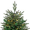 Northlight 6.5' Pre-Lit Hudson Fir Artificial Christmas Tree  Warm White LED Lights Image 3
