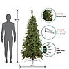 Northlight 6.5' Pre-Lit Medium Canyon Pine Artificial Christmas Wall Tree  Clear Lights Image 2