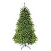 Northlight 6.5' Pre-Lit Northern Pine Full Artificial Christmas Tree - Multi-Color LED Lights Image 1
