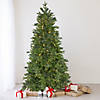 Northlight 6.5' Pre-Lit Rosemary Emerald Angel Pine Artificial Christmas Tree - Warm White LED Lights Image 1