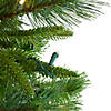 Northlight 6.5' Pre-Lit Rosemary Emerald Angel Pine Artificial Christmas Tree - Warm White LED Lights Image 2