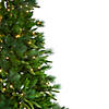 Northlight 6.5' Pre-Lit Rosemary Emerald Angel Pine Artificial Christmas Tree - Warm White LED Lights Image 3