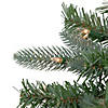 Northlight 6.5' Pre-Lit Slim Granville Fraser Fir Artificial Christmas Tree  Clear Lights Image 2