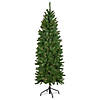 Northlight 6.5' Pre-Lit White River Fir Pencil Artificial Christmas Tree  Clear Lights Image 1