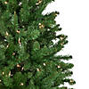 Northlight 6.5' Pre-Lit White River Fir Pencil Artificial Christmas Tree  Clear Lights Image 2