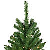 Northlight 6.5' Pre-Lit White River Fir Pencil Artificial Christmas Tree  Clear Lights Image 3