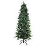 Northlight 6.5' Slim Washington Frasier Fir Artificial Christmas Tree - Unlit Image 1