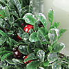Northlight - 6" Boxwood with Berry Tipped Christmas Hurricane Centerpiece Decoration Image 1