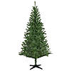 Northlight 6' Canadian Pine Medium Artificial Christmas Tree - Unlit Image 1
