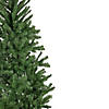 Northlight 6' Canadian Pine Medium Artificial Christmas Tree - Unlit Image 3