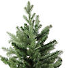 Northlight 6' Mixed Eden Pine Artificial Christmas Tree - Unlit Image 1