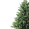 Northlight 6' Mixed Eden Pine Artificial Christmas Tree - Unlit Image 2