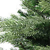 Northlight 6' Mixed Eden Pine Artificial Christmas Tree - Unlit Image 3