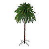 Northlight 6' Pre-Lit Artificial Tropical Outdoor Patio Palm Tree - Multicolor Lights Image 1