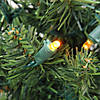 Northlight 6' Pre-Lit LED Pencil Northern Balsam Fir Artificial Christmas Tree - Multi Lights Image 1