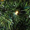 Northlight 6' Pre-Lit Mixed Classic Pine Medium Artificial Christmas Tree  Warm Clear LED Lights Image 1