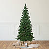 Northlight 6' Pre-Lit Wilson Pine Slim Artificial Christmas Tree  Multi Lights Image 1