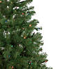 Northlight 6' Pre-Lit Wilson Pine Slim Artificial Christmas Tree  Multi Lights Image 3