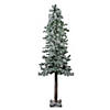Northlight 6' Slim Flocked and Glittered Woodland Alpine Artificial Christmas Tree - Unlit Image 1