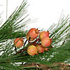 Northlight 6' x 10" Long Needle Pine and Pinecone Artificial Christmas Garland  Unlit Image 2