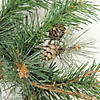 Northlight 6' x 9" Country Mixed Pine Artificial Christmas Garland - Unlit Image 1